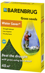 BARENBRUG Water Saver 1kg  Trawa odporna na suszę